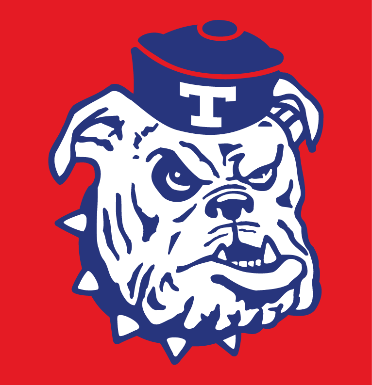 Louisiana Tech Bulldogs 1966-1978 Alternate Logo DIY iron on transfer (heat transfer)